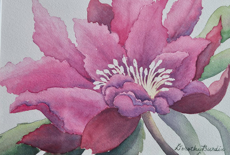 Christmas Floral, a watercolor painting by Dorothy Burdin